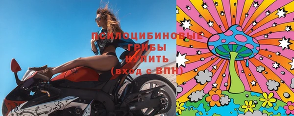трава Алзамай