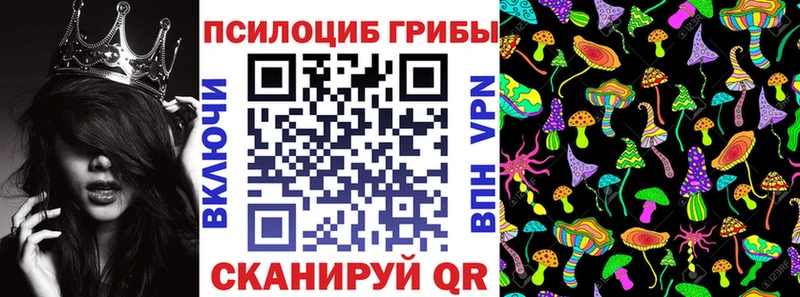 Псилоцибиновые грибы GOLDEN TEACHER  магазин продажи   Слободской 